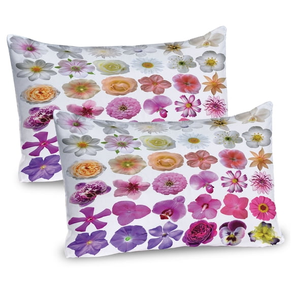 Ambesonne Nature Pillow Sham 2 Pack, Flowers Petunia Botanic, 26"x20", White Lilac Pink