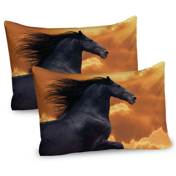 Ambesonne Nature Pillow Sham 2 Pack, Galloping Friesian Horse, 26"x20", Black Orange