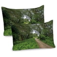 thumbnail image 1 of Ambesonne Nature Pillow Sham 2 Pack, Sunny Day in Meadows, 30"x20", Umber Fern Green, 1 of 3