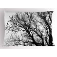 thumbnail image 1 of Ambesonne Nature Pillow Sham, Autumn Fall Tree Branch, 26" X 20", Black and White, 1 of 2