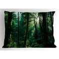 thumbnail image 1 of Ambesonne Nature Pillow Sham, Sunset in Woods Trees, 26" X 20", Forest Green Pale Yellow, 1 of 2