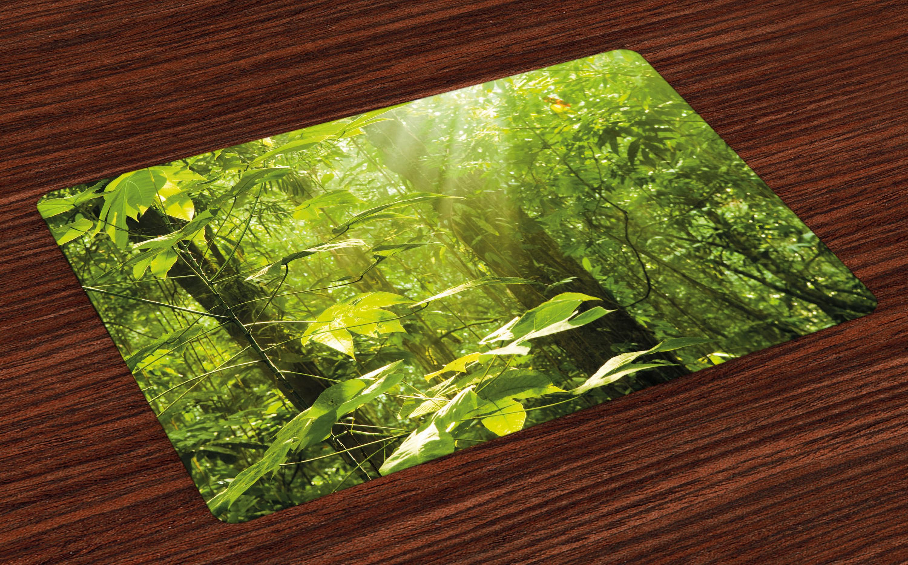 Ambesonne Nature Place Mats Set of 4, Leaf Branches Woodland, Standard ...