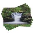 thumbnail image 1 of Ambesonne Nature Place Mats Set of 4, Trees Flowers Waterfall, Standard Size, Green White, 1 of 6