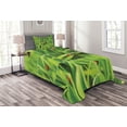 thumbnail image 1 of Ambesonne Nature Quilted Bedspread Set 2 Pcs, Ladybug over Fresh Grass, Twin Size, Green Red, 1 of 3