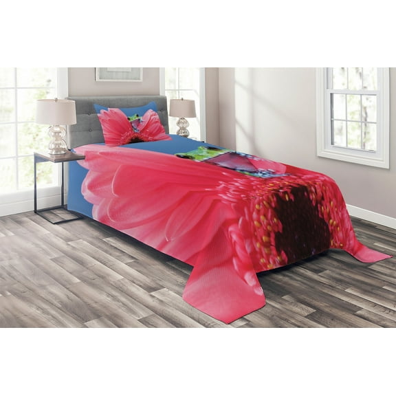 Ambesonne Nature Quilted Coverlet 2 Pcs, Frog on Gabera Flower, Twin Size, Pink Green Blue