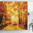 thumbnail image 1 of Ambesonne Nature Shower Curtain, Autumn in Relax Forest, 69"Wx70"L, Orange Brown, 1 of 5