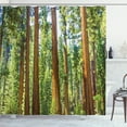 thumbnail image 1 of Ambesonne Nature Shower Curtain, Braches in Spring, 69"Wx75"L, Green Brown, 1 of 5