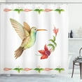 thumbnail image 1 of Ambesonne Nature Shower Curtain, Hummingbird Art, 69"Wx75"L, Red and Green, 1 of 5