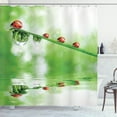 thumbnail image 1 of Ambesonne Nature Shower Curtain, Ladybug on Water Image, 69"Wx84"L, Red Green, 1 of 5