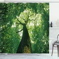 thumbnail image 1 of Ambesonne Nature Shower Curtain, Leaves Tree Branches, 69"Wx84"L, Green Pale Green Brown, 1 of 5