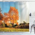 thumbnail image 1 of Ambesonne Nature Shower Curtain, Maple Tree in Autumn, 69"Wx84"L, Orange Blue, 1 of 5