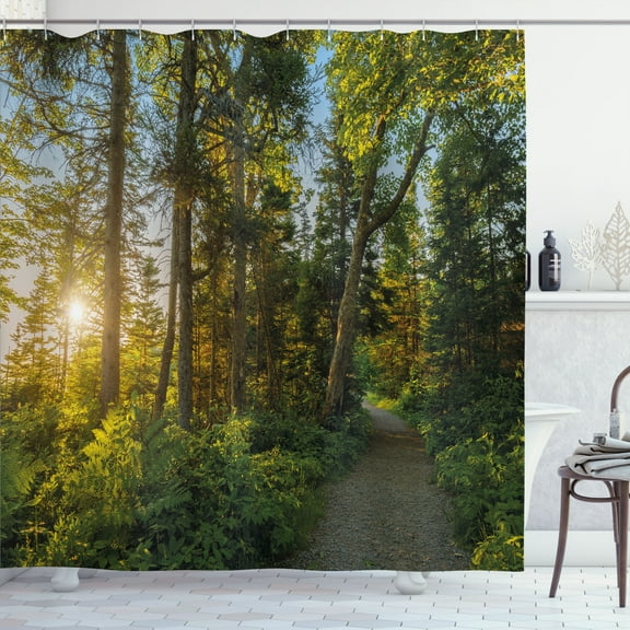 Ambesonne Nature Shower Curtain, National Park Trees Path, 69"Wx84"L, Blue Green