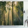 thumbnail image 1 of Ambesonne Nature Shower Curtain, Summertime Countryside, 69"Wx75"L, Green Beige Black, 1 of 5