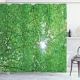 thumbnail image 1 of Ambesonne Nature Shower Curtain, Sun with Tree Branches, 69"Wx70"L, Green, 1 of 5