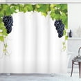 thumbnail image 1 of Ambesonne Nature Shower Curtain, Wine Leaves in Village, 69"Wx84"L, Green Black, 1 of 5