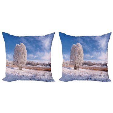 Ambesonne Nature Throw Pillow Cover 2 Pack, Winter Snow Landscape, 24", Turquoise Avocado Green