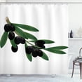 thumbnail image 1 of Ambesonne Olive Green Shower Curtain, Black Botanical Motifs, 69"Wx70"L, Charcoal Grey and Sepia, 1 of 4