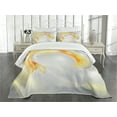 thumbnail image 1 of Ambesonne Ombre Quilted Bedspread Set 3 Pcs, Futuristic Design, Queen Size, Black Marigold and Grey, 1 of 5