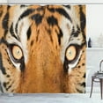 thumbnail image 1 of Ambesonne Orange Black Shower Curtain, Tiger Eyes Wild, 69"Wx70"L, Orange Black, 1 of 5