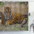 thumbnail image 1 of Ambesonne Orange Cat Shower Curtain, Lying Tiger Photo Print, 69"Wx84"L, Caramel Olive Green, 1 of 4