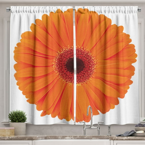 Ambesonne Orange Kitchen Curtains, Vivid Flower of Gerbera, 55"x39", Orange Red Burgundy