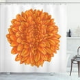 thumbnail image 1 of Ambesonne Orange Shower Curtain, Dahlia Flower Floral, 69"Wx84"L, Orange, 1 of 5
