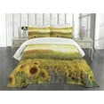 thumbnail image 1 of Ambesonne Oranger Quilted Bedspread Set 3 Pcs, Golden Sunflower Field, Queen Size, Orange Yellow, 1 of 5