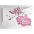 thumbnail image 1 of Ambesonne Orchids Pillow Sham, Simple Hand-drawn Flowers, 26" X 20", Pale Pink White, 1 of 2