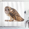 thumbnail image 1 of Ambesonne Owl Feather Shower Curtain, Indigenous Hunter Bird, 69"Wx84"L, Camel Taupe and White, 1 of 4