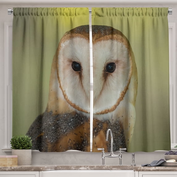 Ambesonne Owl Kitchen Curtains, Closeup of Night Bird Print, 55"x30", Pale Olive Green and Dusk