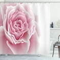 thumbnail image 1 of Ambesonne Pale Pink Shower Curtain, Rose Petals Beauty, 69"Wx84"L, Pale Pink White, 1 of 3