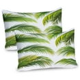 thumbnail image 1 of Ambesonne Palm Leaf Pillow Sham 2 Pack, Summer Botany Tropic, 36"x20", Lime Green White and Green, 1 of 3