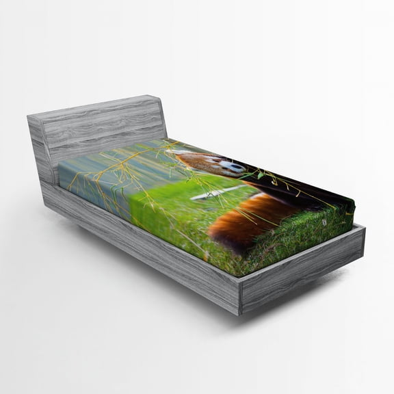 Ambesonne Panda Fitted Sheet, Wild Animal on the Meadow, Twin XL Size, Brown and Red