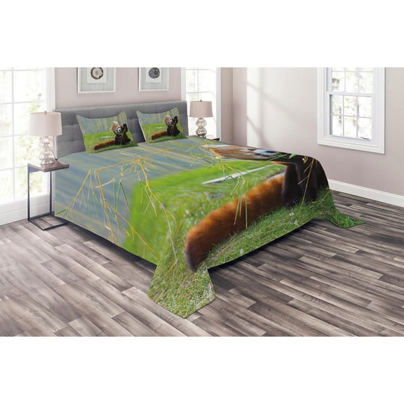 Ambesonne Panda Quilted Coverlet 3 Pcs, Wild Animal on the Meadow, King Size, Brown and Red