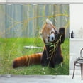 thumbnail image 1 of Ambesonne Panda Shower Curtain, Wild Animal on the Meadow, 69"Wx70"L, Brown and Red, 1 of 5