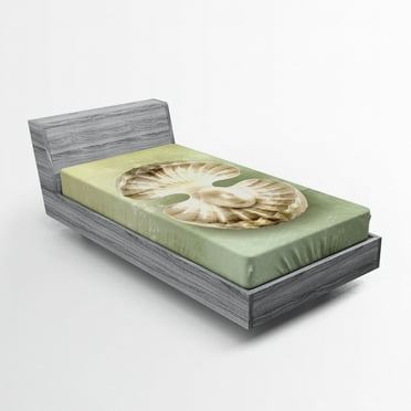 Ambesonne Pearls Fitted Sheet, Open Shell Marine Life, Twin Size, Green Beige