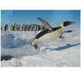 thumbnail image 1 of Ambesonne Penguin Jigsaw Puzzle, Detailed Arctic Photo, Heirloom-Quality Fun Activity for Family Durable Cardboard, 1000 pcs, Multicolor, 1 of 5