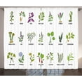 thumbnail image 1 of Ambesonne Periwinkle Curtains 2 Panel Set, Herbs Design, 108" x 96", Lime Green Multicolor, 1 of 3
