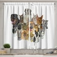 thumbnail image 1 of Ambesonne Pet Lover Kitchen Curtains, Domestic Animals, 55"x39", Multicolor, 1 of 3