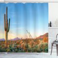 thumbnail image 1 of Ambesonne Photo Shower Curtain, Cactus Sunset Landscape, 69"Wx84"L, Multicolor, 1 of 3
