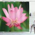 thumbnail image 1 of Ambesonne Pink and Green Shower Curtain, Lotus Lily Blossom, 69"Wx84"L, Pink and Fern Green, 1 of 5