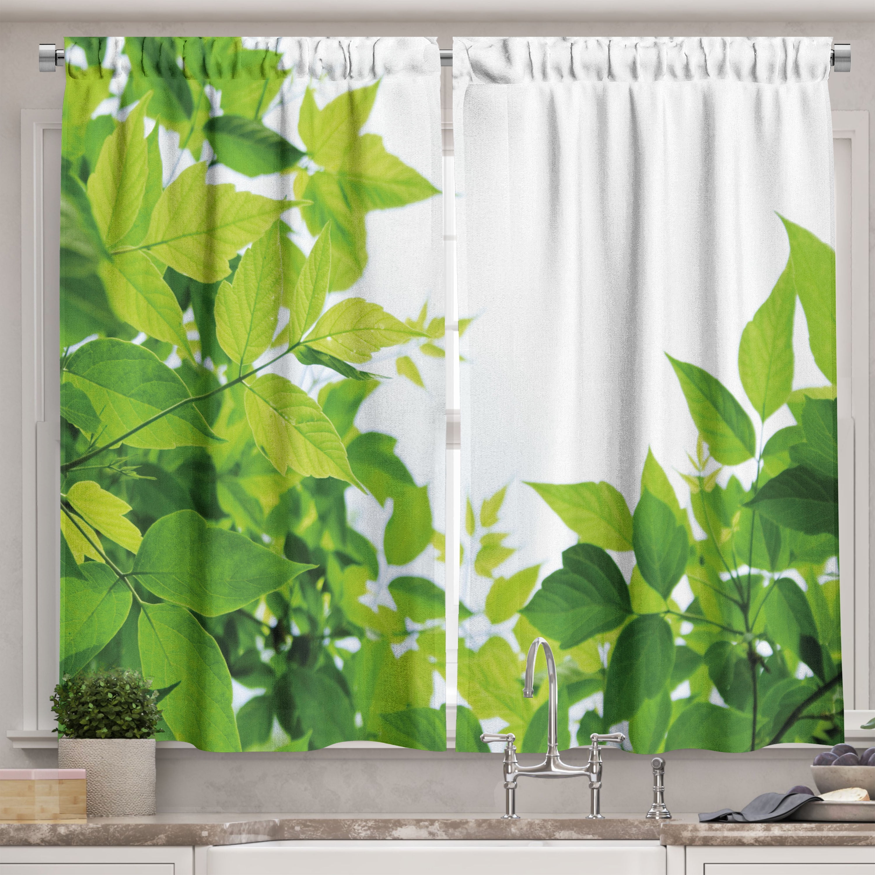 Ambesonne Plant Kitchen Curtains, Birth of Nature, 55\, image size:3000x3000