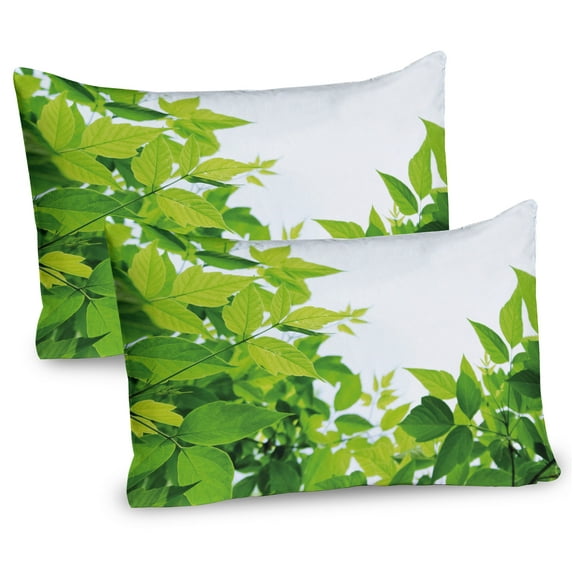 Ambesonne Plant Pillow Sham 2 Pack, Birth of Nature, 26"x20", Apple Green