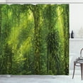 thumbnail image 1 of Ambesonne Plant Shower Curtain, Tranquil Exotic Place, 69"Wx84"L, Apple Green, 1 of 3