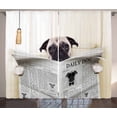 thumbnail image 1 of Ambesonne Pug Curtains 2 Panel Set, Puppy Reading Newspaper, 108" x 90", Cream Black White, 1 of 3