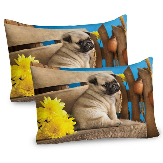Ambesonne Pug Pillow Sham 2 Pack, Puppy Photography on Bench, 30"x20", Pale Brown Yellow Blue