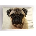 thumbnail image 1 of Ambesonne Pug Pillow Sham, Pure Bred Dog Photograph, 26" X 20", Pale Brown Black, 1 of 2