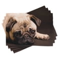 thumbnail image 1 of Ambesonne Pug Place Mats Set of 4, Puppy Photograph Animals, Standard Size, Brown Pale Brown, 1 of 4