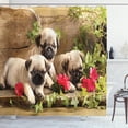thumbnail image 1 of Ambesonne Pug Shower Curtain, Sibling Puppies Flowers, 69"Wx84"L, Fern Green Eggshell, 1 of 5