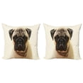 thumbnail image 1 of Ambesonne Pug Throw Pillow Cover 2 Pack, Pure Bred Dog Photograph, 16", Pale Brown Black, 1 of 7